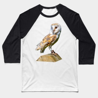 Barn owl on a gatepost Baseball T-Shirt